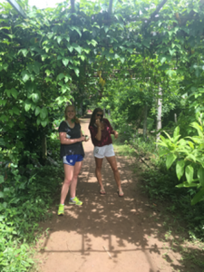 ACE Athletes in a Vietnamese  orchard