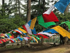 colorful prayer flags waving in the wind in front of trees