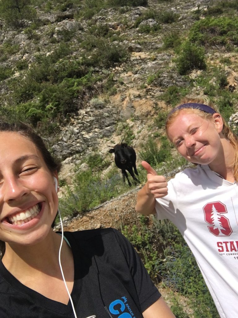 two women giving a thumbs up with a yak in the background