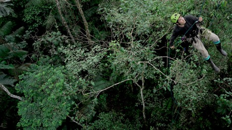 man repelling from tree in forest