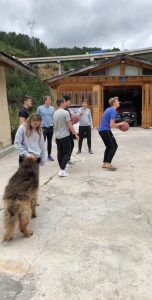 group of young adults shooting basketball outside