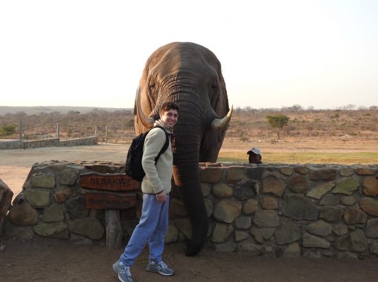 man standing with elephant