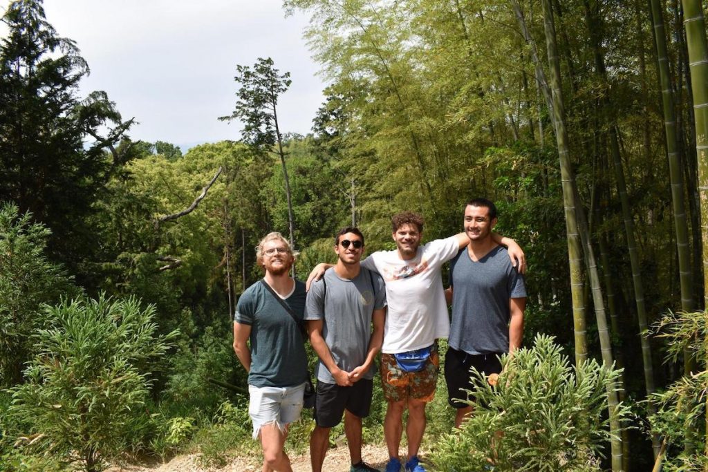 group of men hiking in greenery