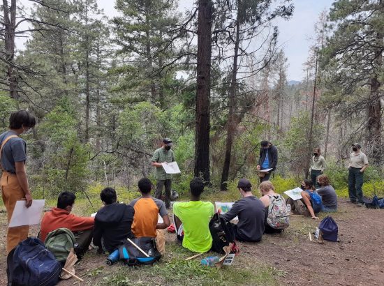 students sitting in forest
