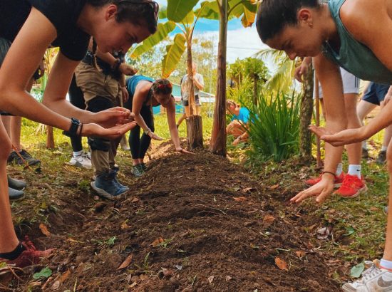 group of students planting seeds