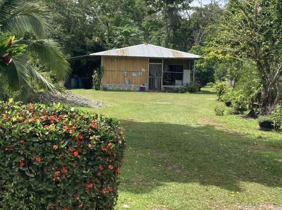 photo of local grocery store in Costa Rica