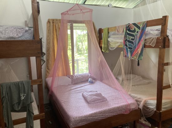 photo of bed with mosquito net