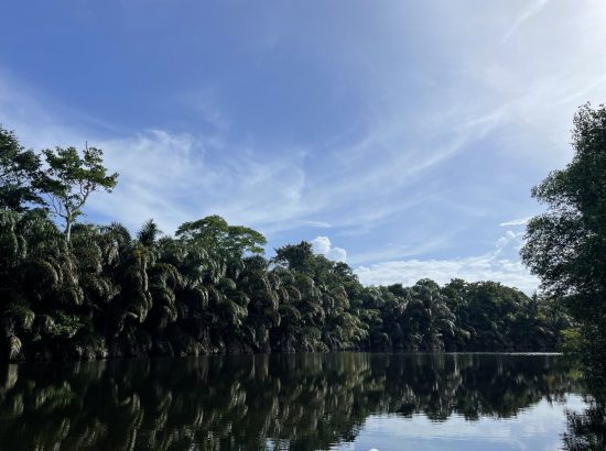 Landscape photo of lagoon in costa Rica