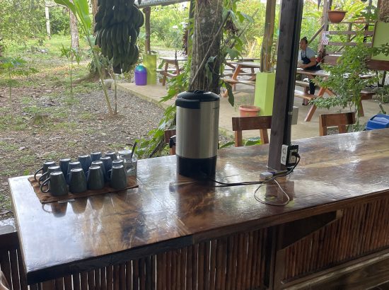 coffee in Costa Rica