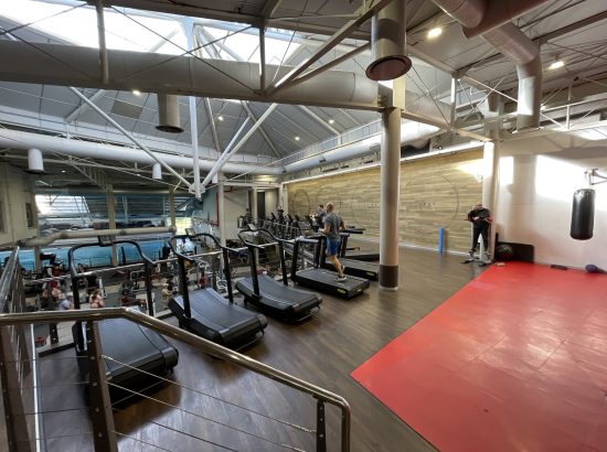 photo of cardio machines in a gym