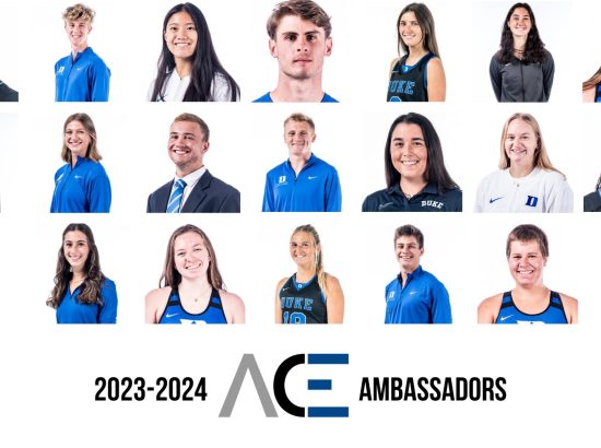 Ambassador collage