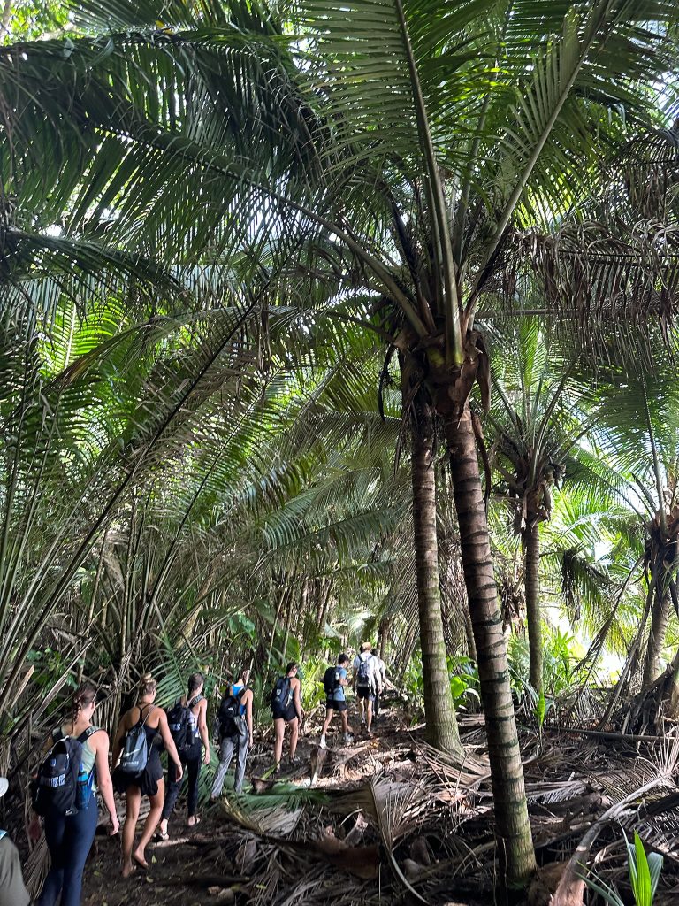 Students in jungle