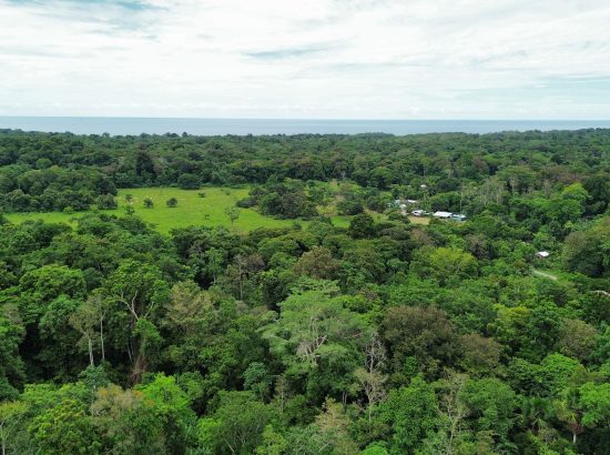 aerial view of Gandoca